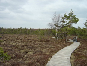 Rotes Moor